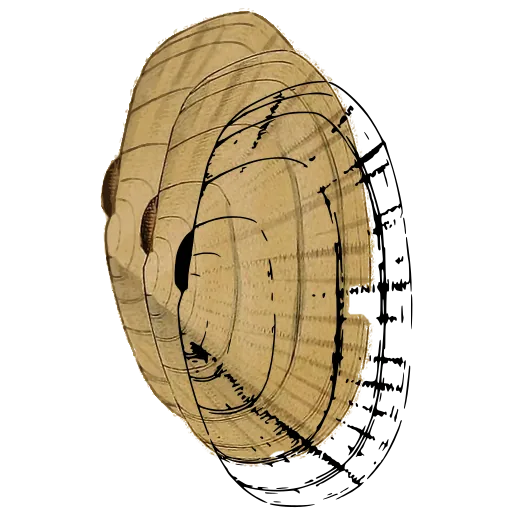 Coiled shell outline 01