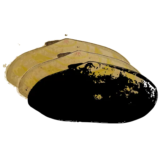 Smooth dark bivalve 02