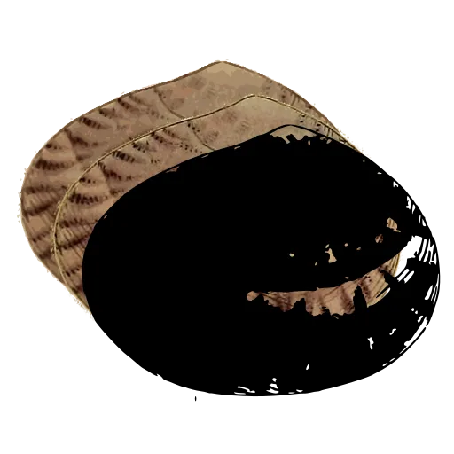 Dark bivalve shell 01
