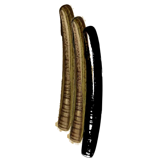 Tube shell 02