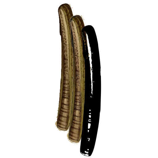 Tube shell 02