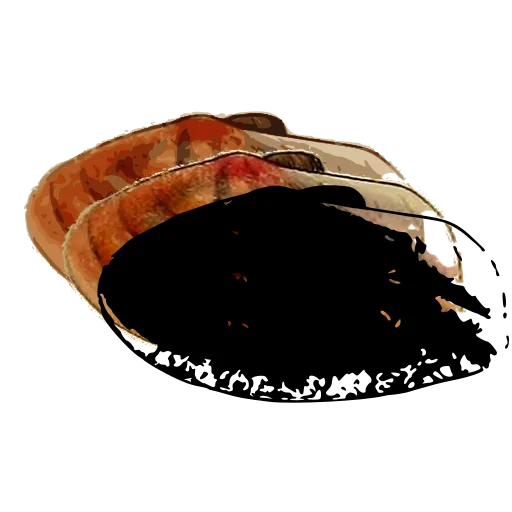 Dark mussel shell 01