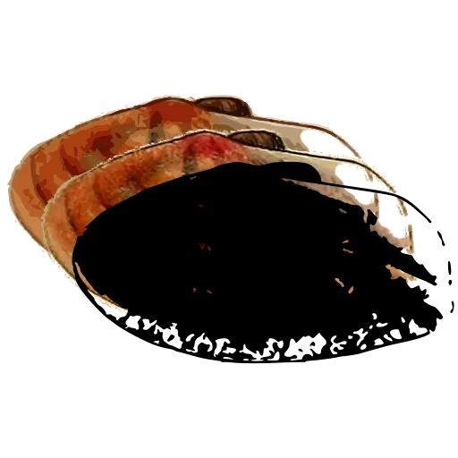 Dark mussel shell 01