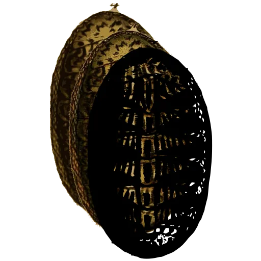 Chiton from above 06