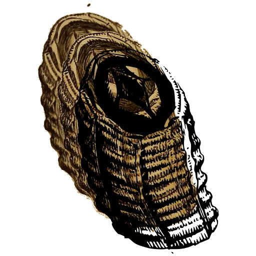 Barnacle tube 02