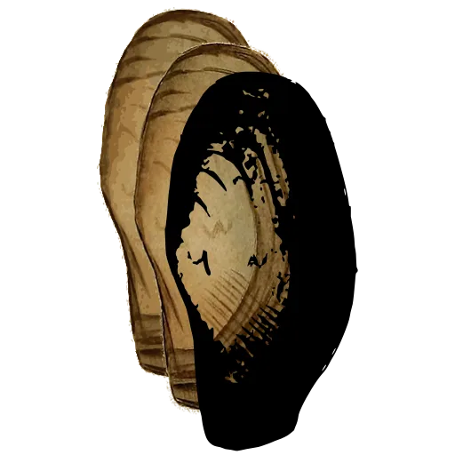 Dark bivalve shell 02