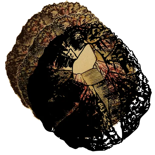 Encrusted barnacle