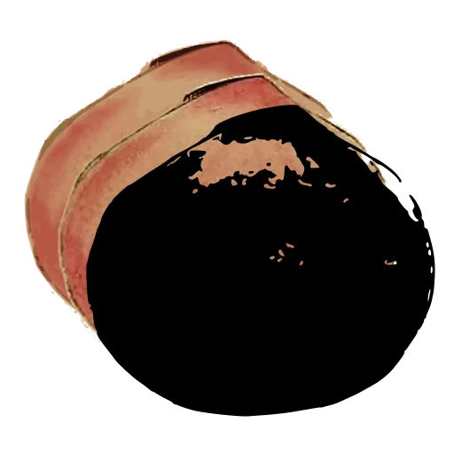 Dark bivalve shell 04