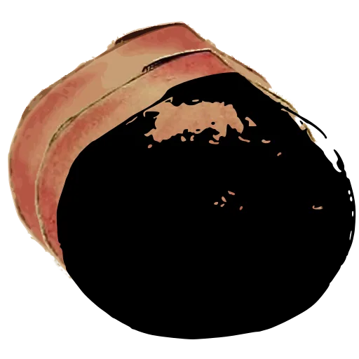 Dark bivalve shell 04