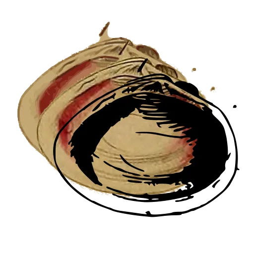 Bivalve interior