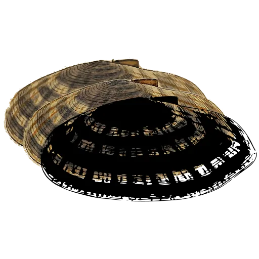 Barred bivalve shell