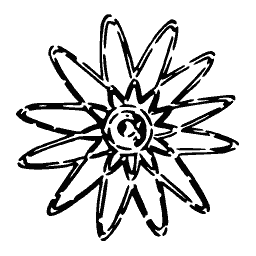 Star rosette